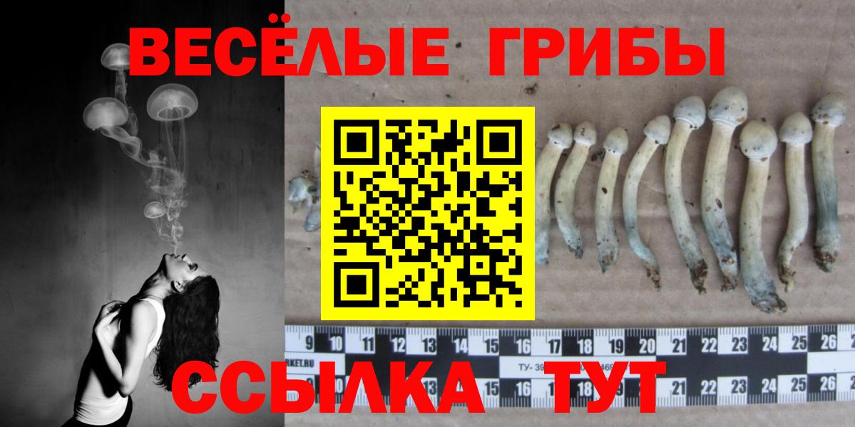 Галлюциногенные грибы мицелий  Вход с VPN  Пенза 