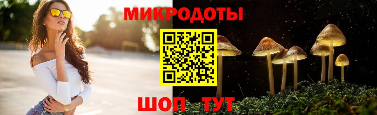Псилоцибиновые грибы Psilocybe Пенза